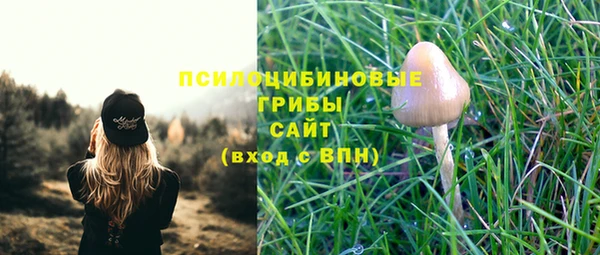 дурь Медвежьегорск