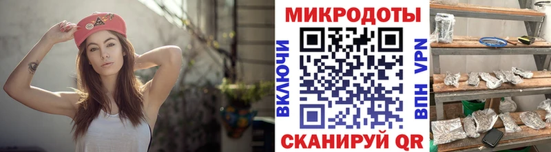 kraken ССЫЛКА  Игра  Псилоцибиновые грибы ЛСД 